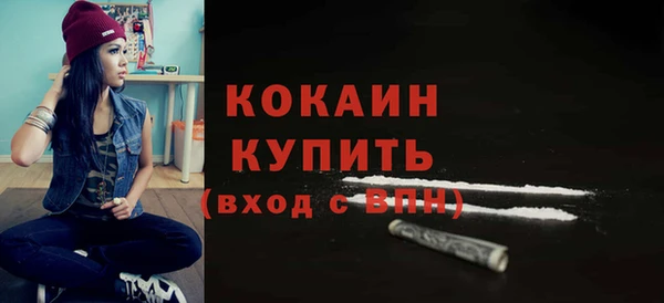 крисы Абаза