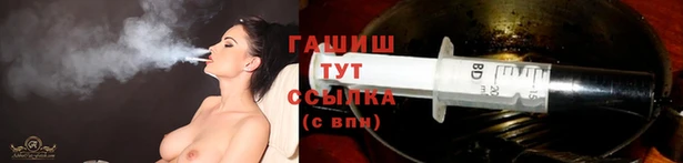 крисы Абаза