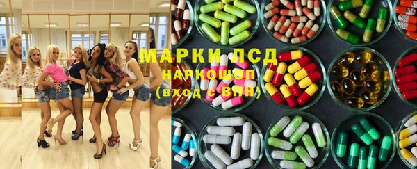 крисы Абаза