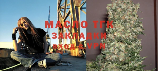 крисы Абаза
