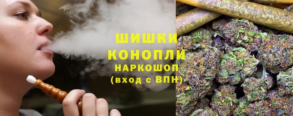крисы Абаза