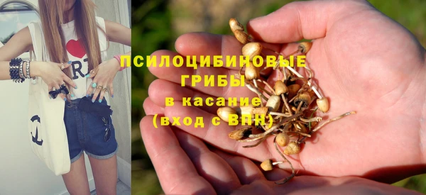 крисы Абаза